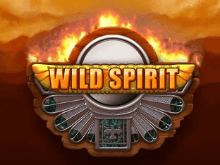 Игровой автомат Wild Spirit