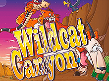 Игровой автомат Wild Cat Canyon